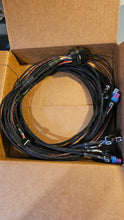 Holley Can IO Box Pre-terminated PNP Harness