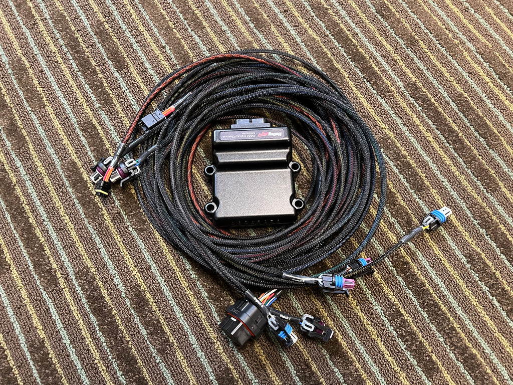 Holley Can IO Box Pre-terminated PNP Harness – Sloppymechanics.com