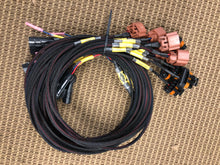 The Original Holley PNP - Flex, Alt, and Combo Harness's